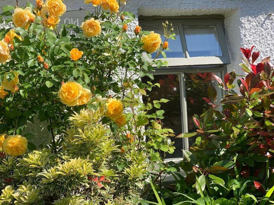The Old Post Office, Cosy Grade II Listed 2 Bed Apartment Windermere Kültér fotó